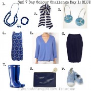 SnS 7 Day Colour Challenge Day 1 Blue