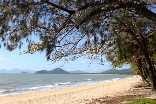 Beach at Palm Cove (2)