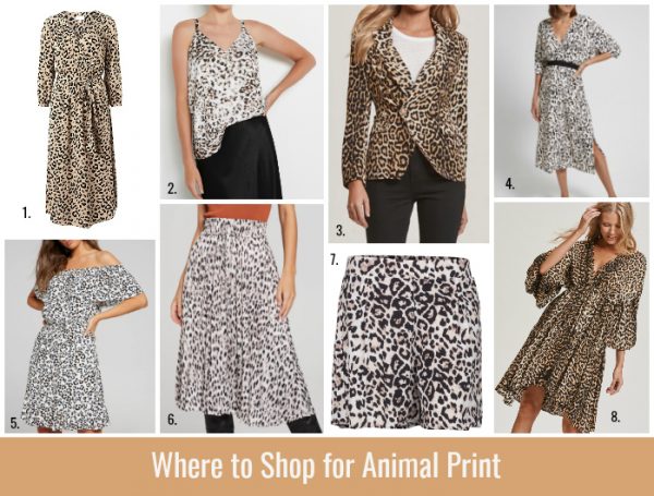 leopard print dress witchery