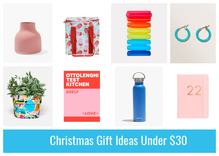 https://styleandshenanigans.com/wp-content/uploads/2021/12/Christmas-Gift-Ideas-Under-30.png
